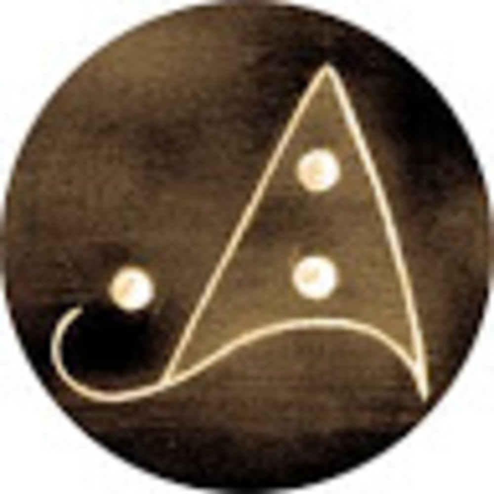 Meet your Posher, Alli